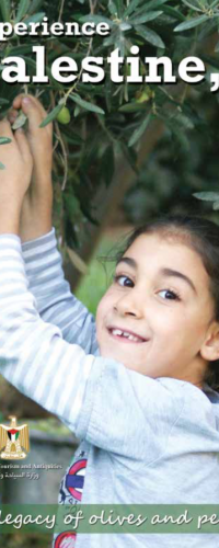 Experience Palestine